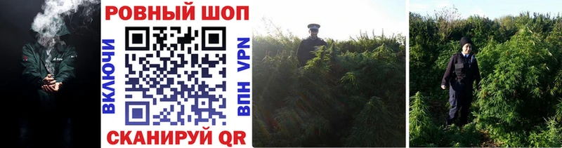 Наркошоп купить МАРИХУАНА Codein A-PVP Меф мяу мяу COCAIN Сосенский