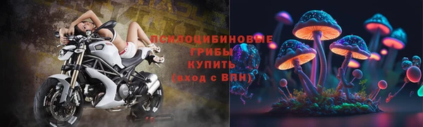 mix Горнозаводск
