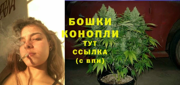 mix Горнозаводск