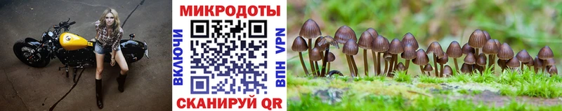 Псилоцибиновые грибы MAGIC MUSHROOMS  Купить  Сосенский 